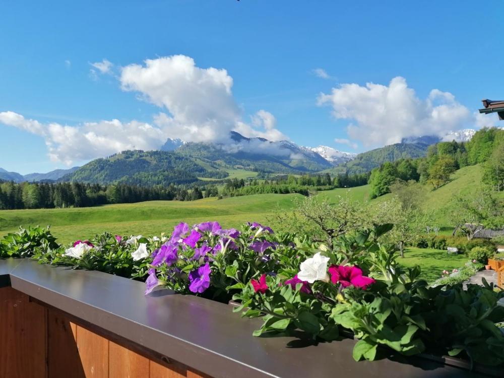 Landhaus Bergblick Kössen Екстериор снимка
